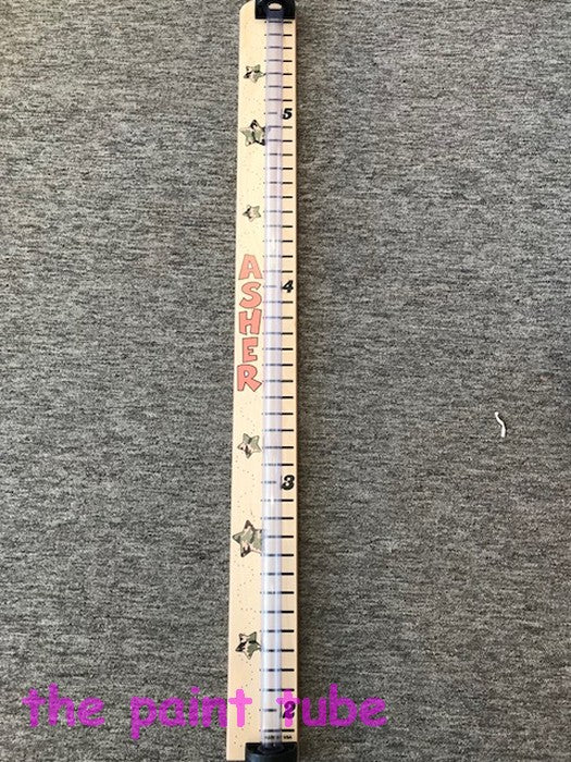 Asher Camo Stars Theme Growth Chart Bank