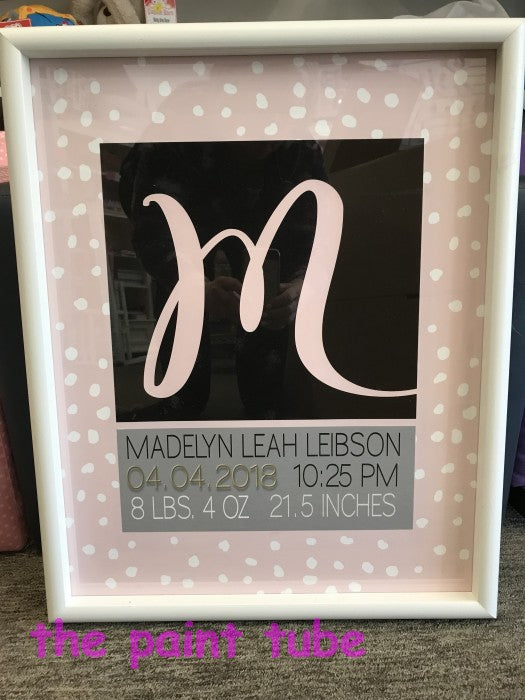 Madelyn Statistic Framed Birth Announcement